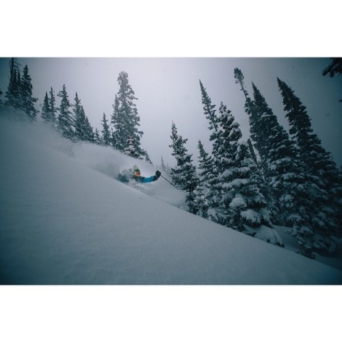 Skiers in Colorado and elsewhere in the American West are having their very own #powder Olympics this weekend. Cheers to all of the medalists out there! Photo: @joeyschusler Skier: @starrj Location: 20 miles from Spyder HQ