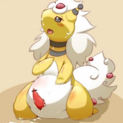 Female Ampharos Porn - sparklepeacock.tumblr.com - Tumbex