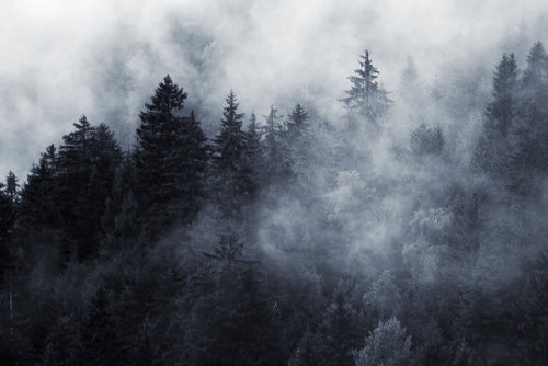 Suisse by Giulia Rossi Ferrini.