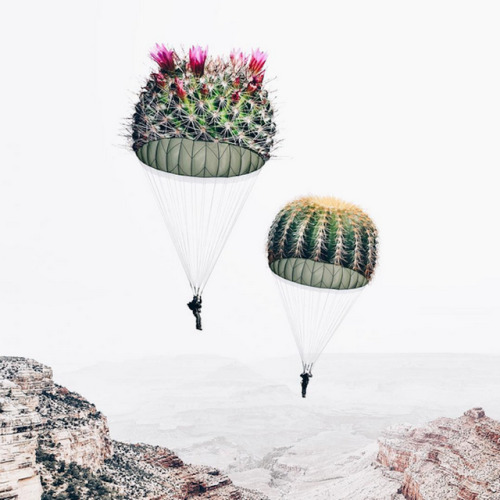 artmania-feed: Surreal Dreamy Photography by 18 Year Old Photographer Luisa Azevedo  Keep 