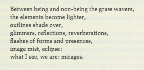 Octavio Paz, ‘Four Poplars’, A Tree Within (trans. Eliot Weinberger)