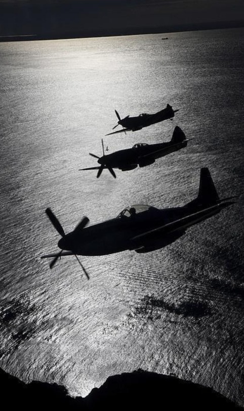 arnold-ziffel: Night calls… Mustang with Spitfires 