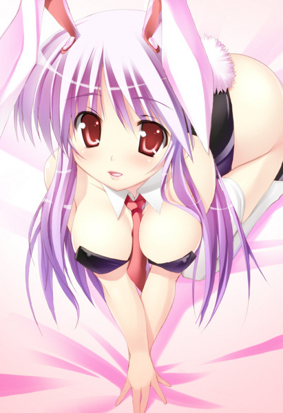 hentai-central:  Bunny girls by anon request. 
