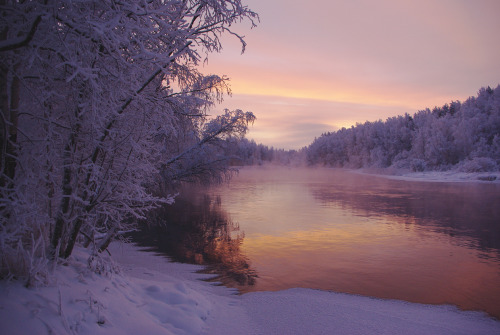 Porn photo strain:  frosty morning by Vladimir Trenin