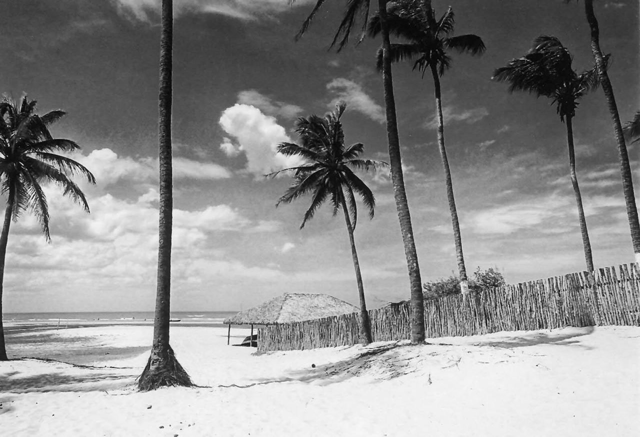 antoniosousadias: Jericoacoara, 2000