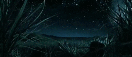 hoplite-operator:  Starry Night 