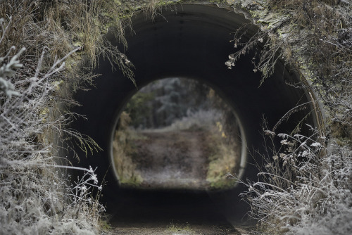 Tunnelblick by Joerg Marx on Flickr.