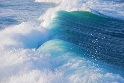 asurferdreams:  Surfing posts