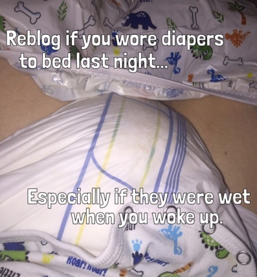 leatherpup777: diaperbaer85: diaperdon69:Every night Not just wet :-) I’m always in diapers  just wo