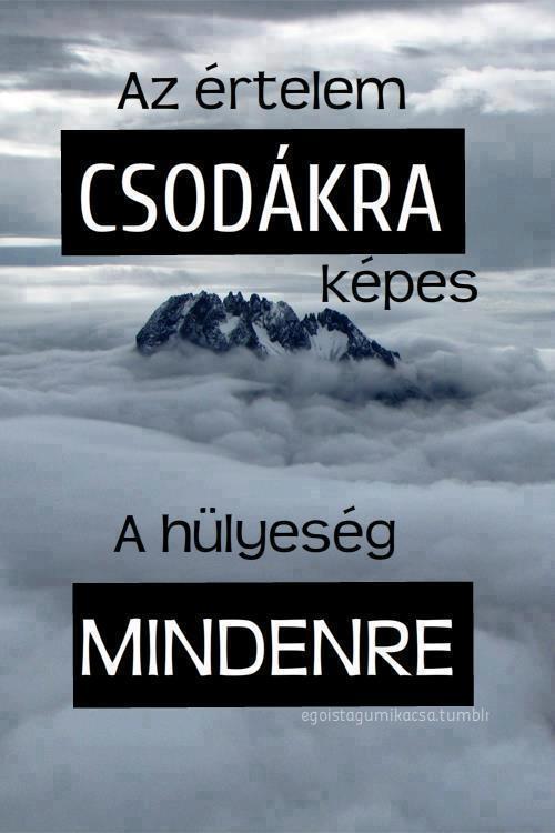 Az értelem csodákra képes, a hülyeség mindenre.