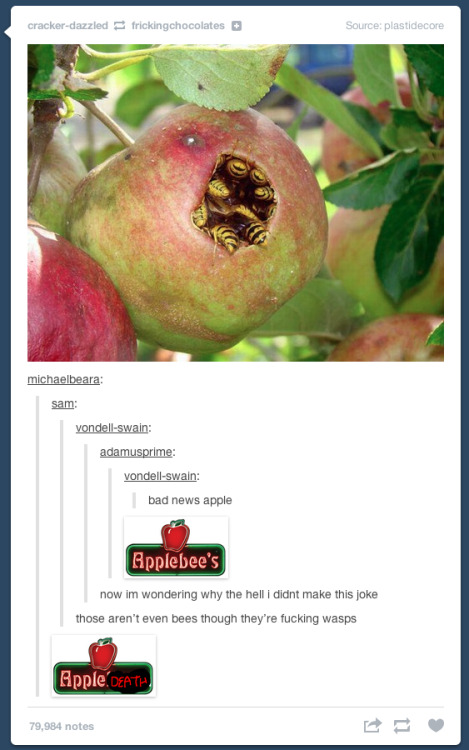 itsstuckyinmyhead: Tumblr and Puns 