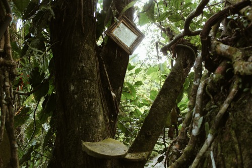 venus-garden: Casa Caracol Xilitla flickr / vscogrid / instagram  (please keep the caption)