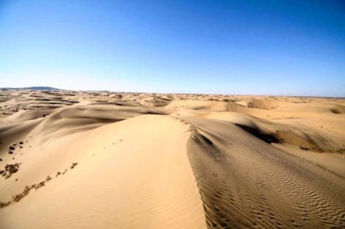 Exploring the dunes out in the Ordos Desert. Want to know how I visited the desert and stayed off th