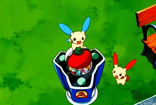 gotta catch 'em all