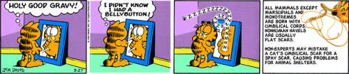 March 27, 1985 — see Garfield Fat Cat 3-Pack #4