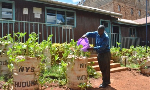 papalagiblog: In Kibera, one of Africa’s largest slums, residents have found a new way of resp