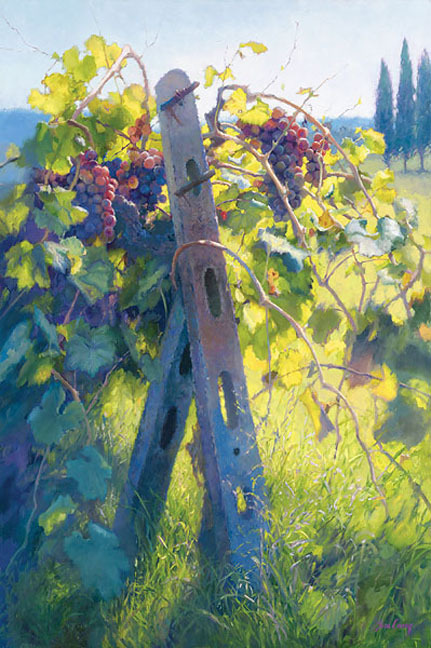 Imported Vines by June Carey