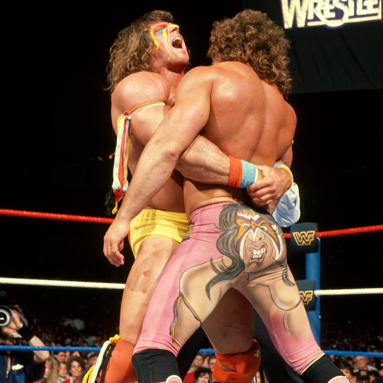 WWE SUMMERSLAM 1990