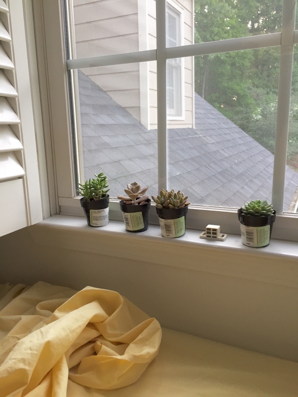 blossomcrowns:  The view from my new bedroom is quite cozy. Plus I’m loving these