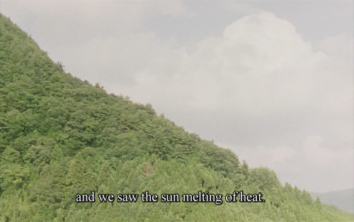 365filmsbyauroranocte:  Moe no suzaku (Naomi Kawase, 1997)