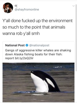 namikawas:  weavemama:  maybe gangster whales