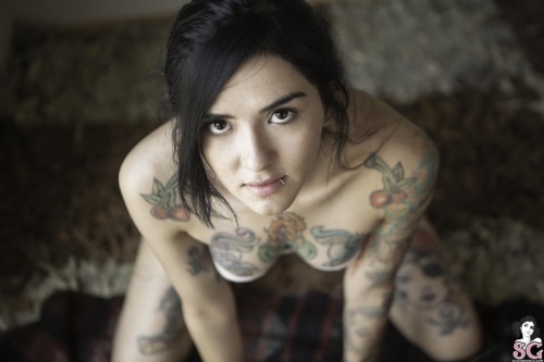 thedarksideofgruff:  Hollyberry