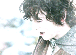 outquisitor:  ‘Well here we are, just the four of us that started out together,’ said Merry. 'We have left all the rest behind, one after another. It seems almost like a dream that has slowly faded.’    ’Not to me,’ said Frodo.