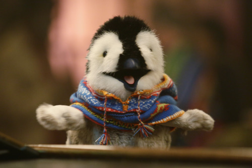 disney:  themuppets:  Who is this impossibly cute penguin? Find out on a brand new episode of The Muppets coming Tuesday at 8:30/7:30c on ABC!  A cute new penguin is waddling onto your TV screen.  