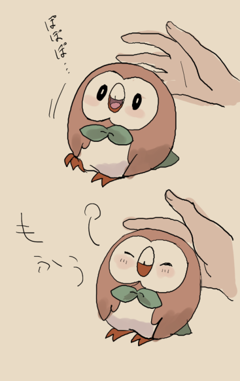 satsuki-ut: I just want to tease Rowlet. kawaii.