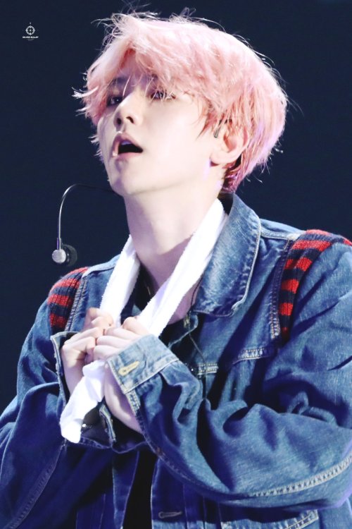 dailyexo:  Baekhyun - 190727 Exoplanet #5 - The EXpℓOration in Seoul - [1, 2, 3,