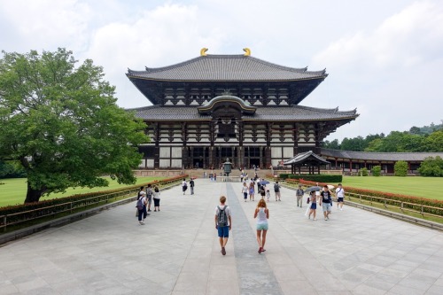 6/20 - Todaiji Temple (Nara)