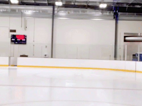 yourestillnotfunny: When ice dance music comes on at the rink.[X]