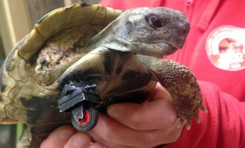 creative-curiosity-design:  Practical Uses for Lego pieces  (Source: Mashable)