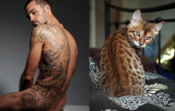 tattooedmencuteanimals:  Our new favorite