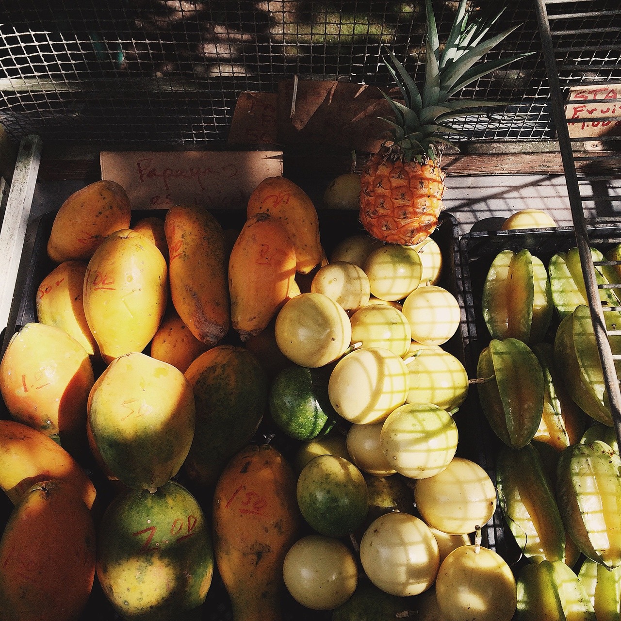 samantheeyo:  I took pictures of fruits and of course little girls add things like