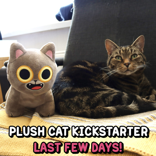 Our Super Adventure Plush Cat Kickstarter - 2 Days to Go! Get yours at sarahgraley.com/kick!▶️ Keep 