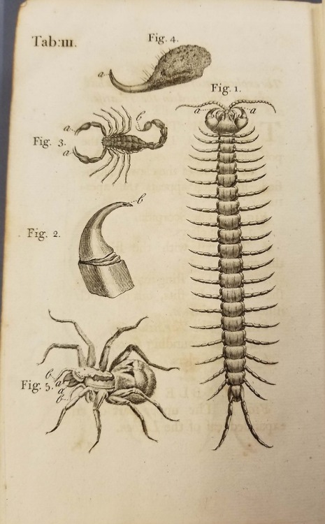 From: Mead, Richard,1673-1754. A mechanical account of poisons, in several essays. London : Printed 