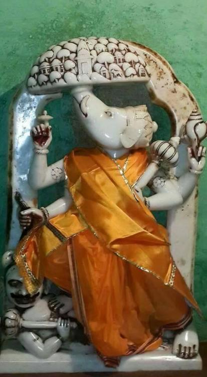 Varaha deity, Mathura, Uttar Pradesh