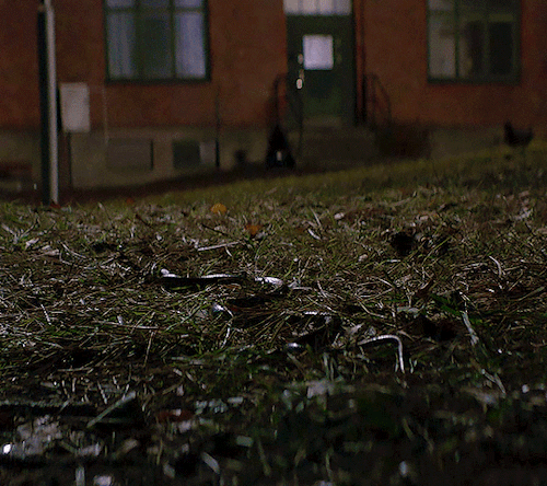 neillblomkamp:Thelma (2017) Directed by Joachim Trier