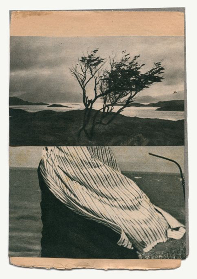 irenelichtensteinblog:  Katrien de Blauwer