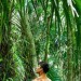 asianmalenudes-x: