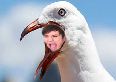 My Friend Made This In IT I Just Think Its Art Personally