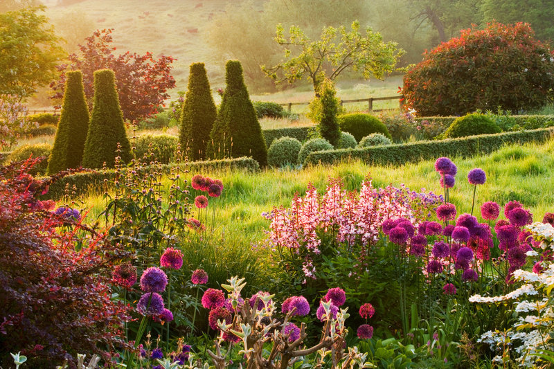 floralls:    PETTIFERS GARDEN, OXFORDSHIRE   by  Clive Nichols     
