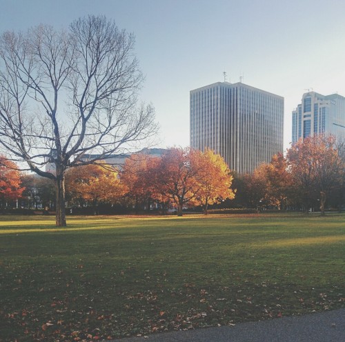tillforeverrends:  Ottawa is tumblr worthy ok people 