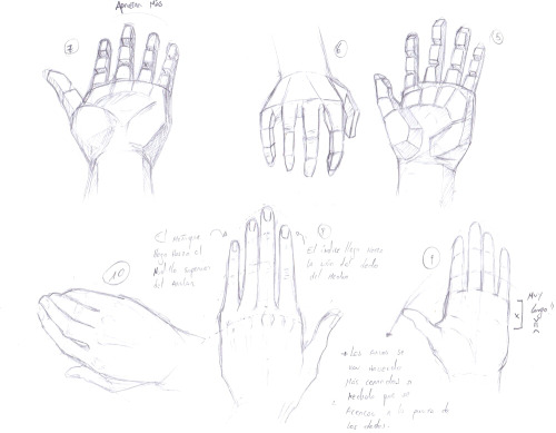 These are part of 100 exercises I did some months ago to get better at drawing hands. The first ones