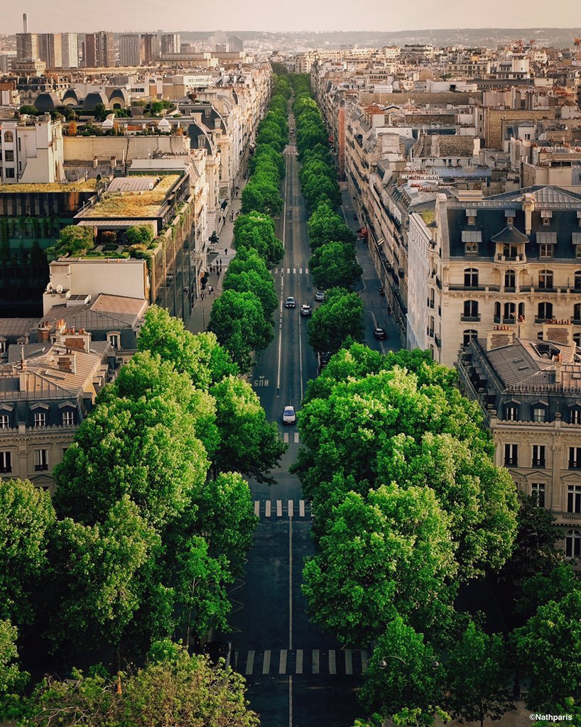 explore4release:  lilyadoreparis:Paris by Nathalie Geffroy.   Love ❤️ Green &amp;