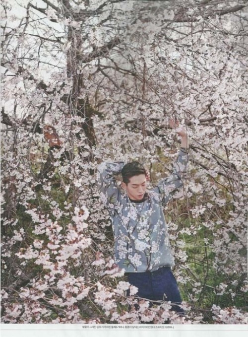 skawngur:  esquire 5 