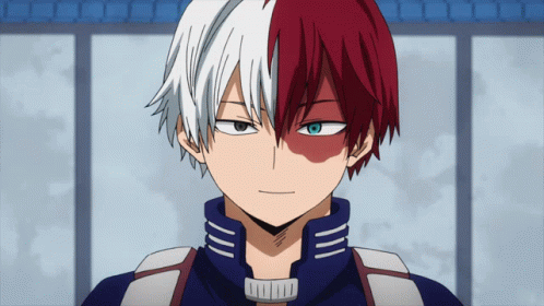 Shoto Todoroki X Reader | First Kiss