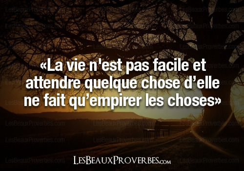 Proverbes / Novembre Tumblr_mwfogiyqyD1rrb1g5o1_500