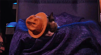 gif-weenus:  Better seats than Nick Lachey.